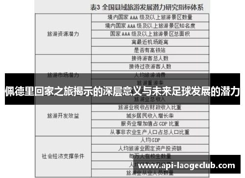 佩德里回家之旅揭示的深层意义与未来足球发展的潜力
