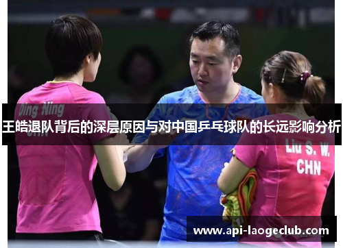 王皓退队背后的深层原因与对中国乒乓球队的长远影响分析 王皓退队背后的深层原因与对中国乒乓球队的长远影响分析