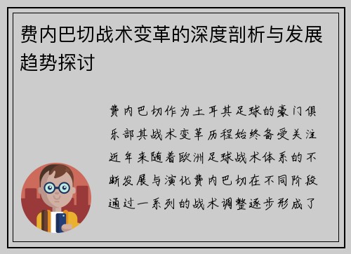 费内巴切战术变革的深度剖析与发展趋势探讨